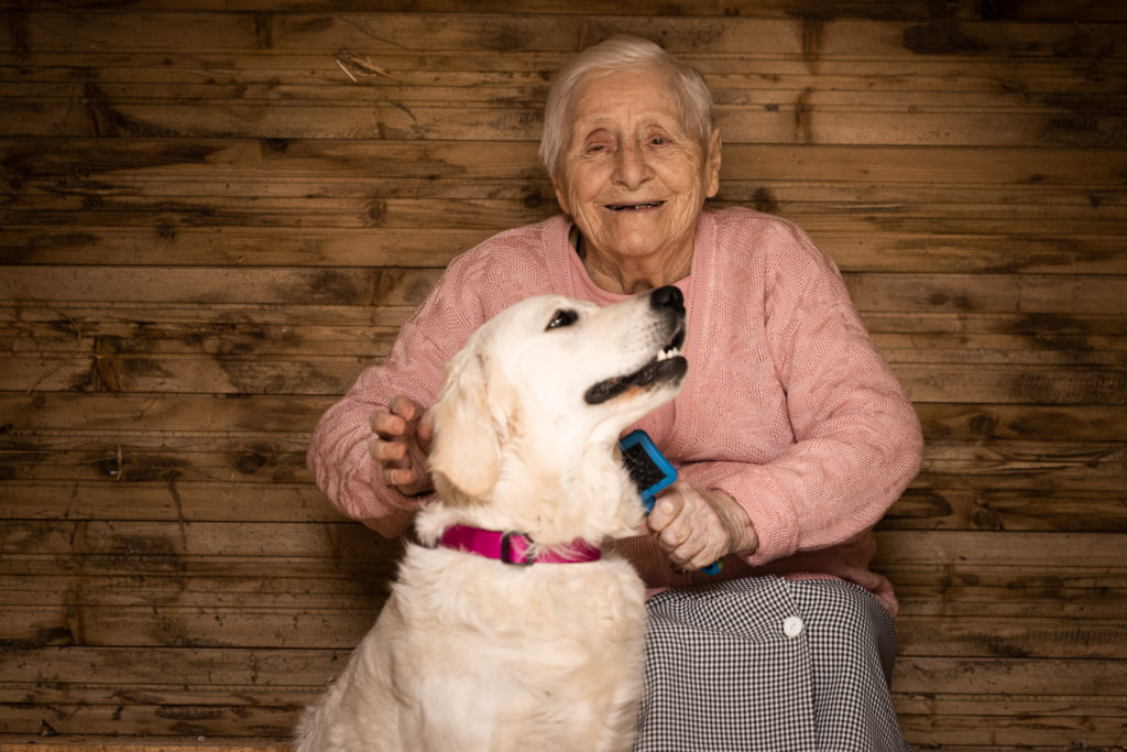 médiation animale, une dame âgée, tout sourire, regarde une chienne golden retriever assise devant elle en la brossant